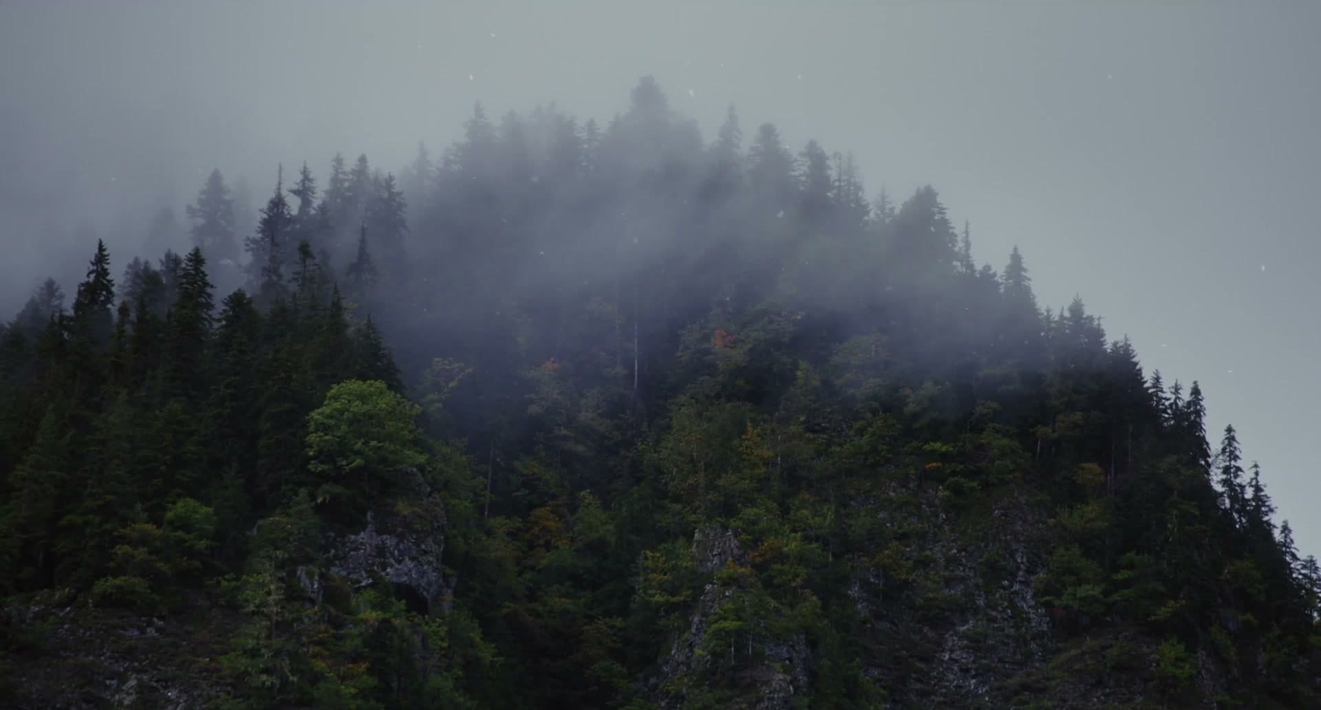 Mist over a forested mountainside in Japan