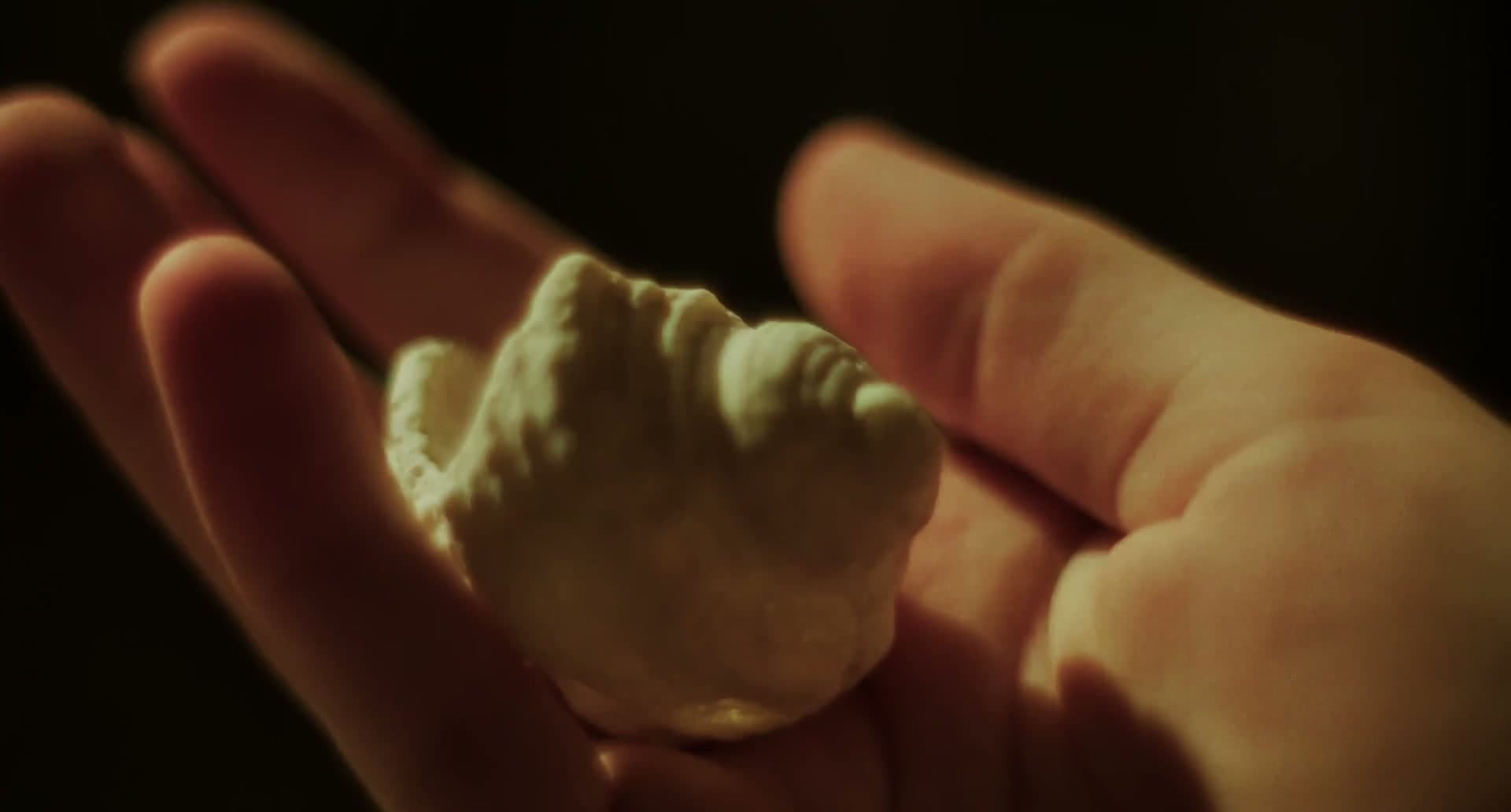 A piece of raw tallow held in an open hand